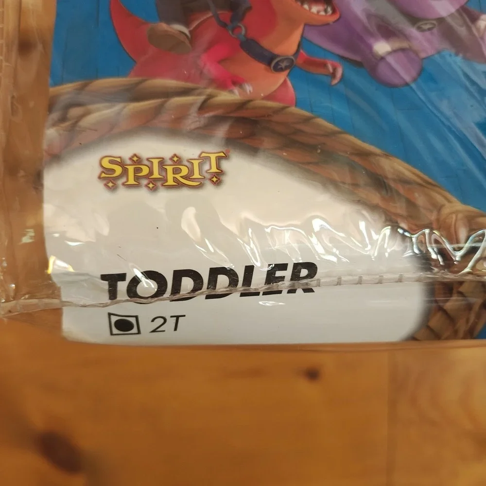 Spirit Halloween costume either